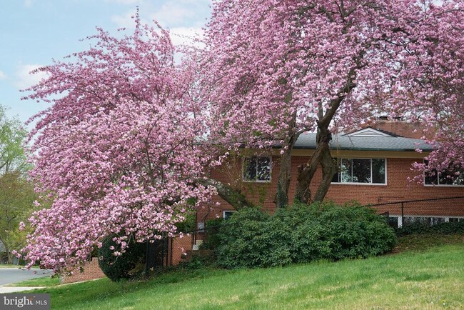 Building Photo - 6716 Tulip Hill Terrace