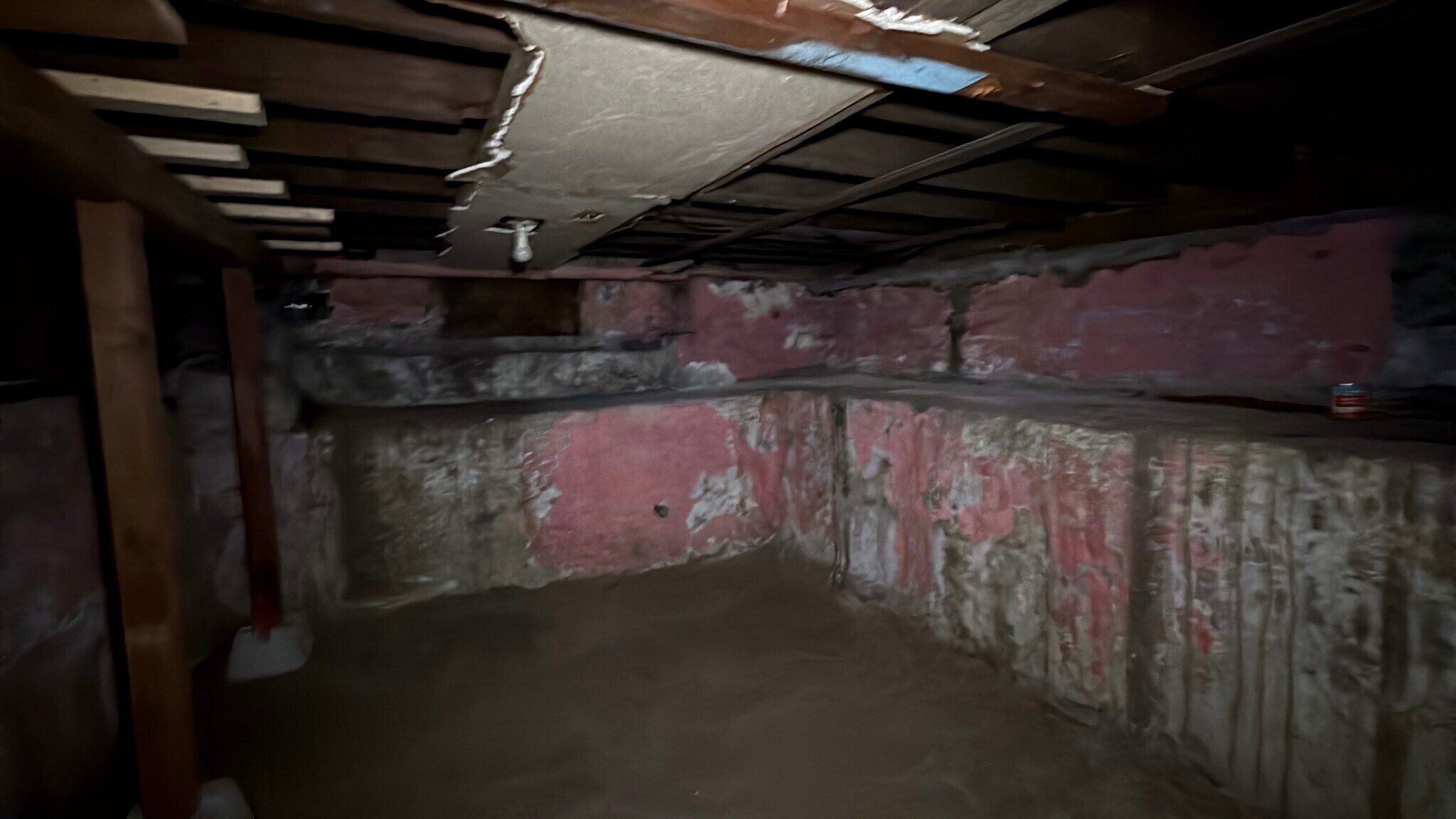 Building Photo - 1608 3rd St