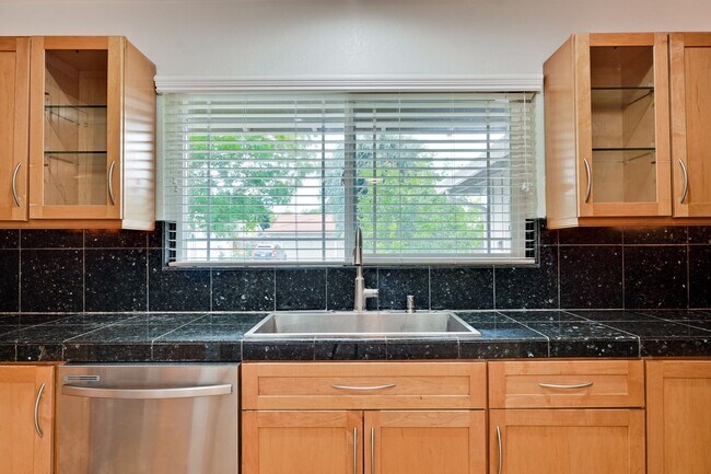 Building Photo - Spacious Home off of Hillsdale with Amazing Kitchen & Backyard! Ready to Rent.
