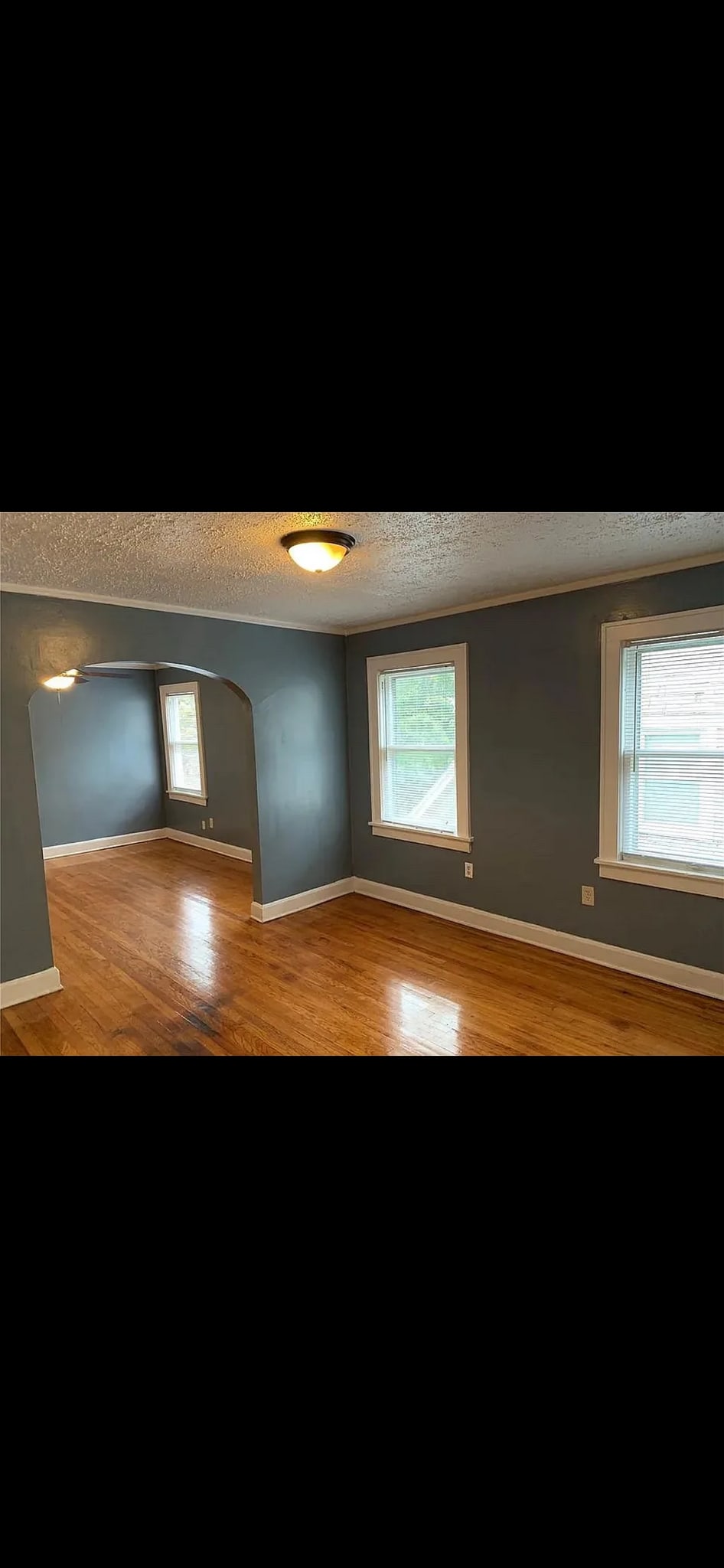 Building Photo - 4117 Charlotte St