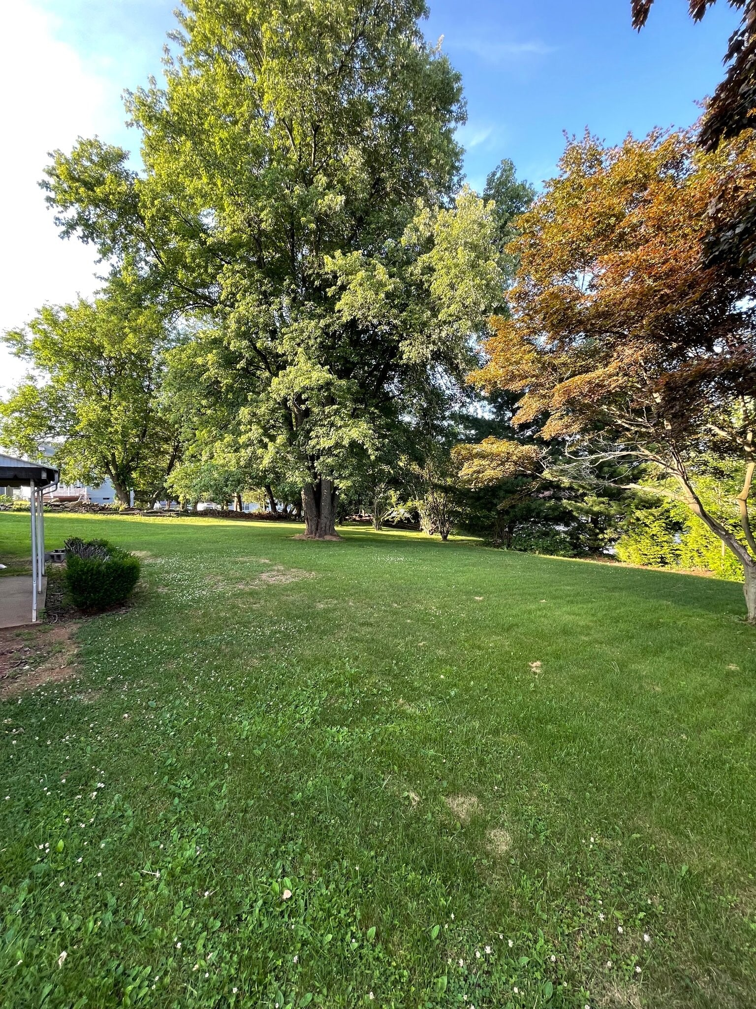 Building Photo - 218 Cardinal Dr