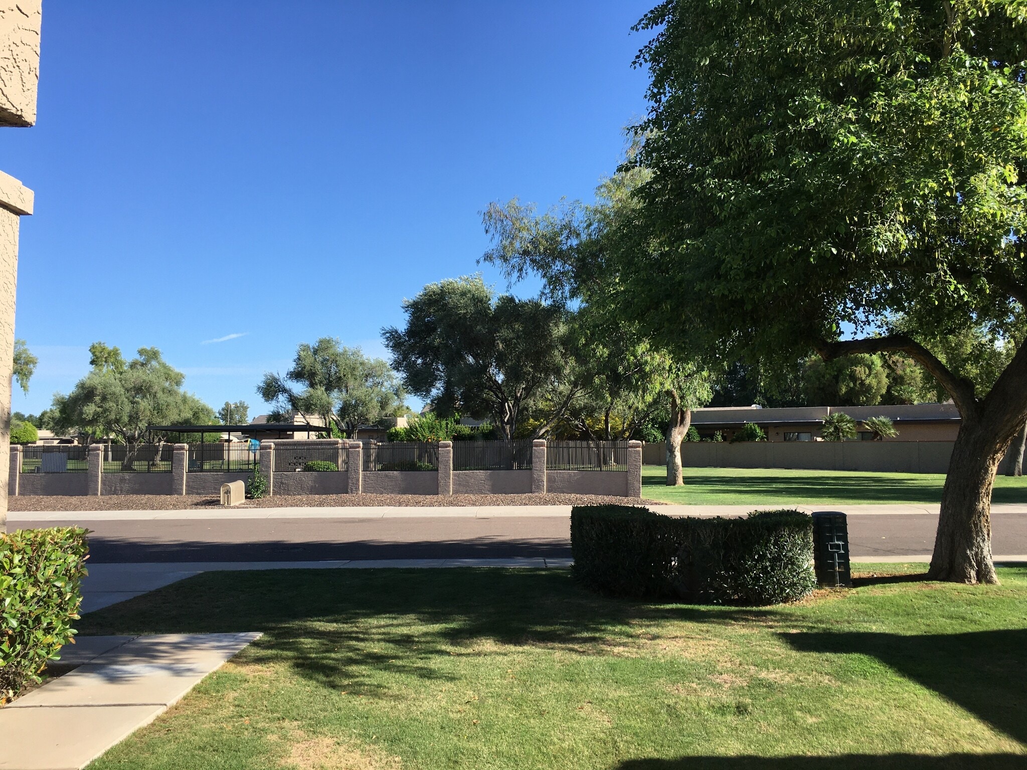 View from den (pool and greenspace) - 9463 E Jenan Dr