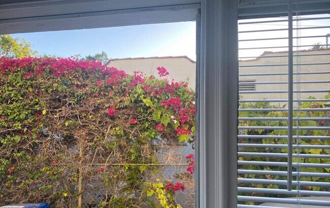 Building Photo - 4525 Avocado St