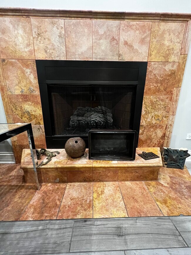 Electric Fireplace - 1525 N Maplewood Ave