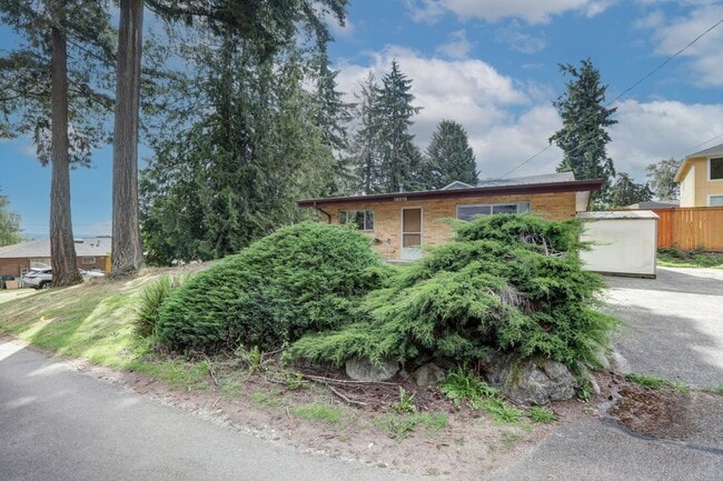 Building Photo - Quiet Neighborhood Forest Like Setting. Gr...