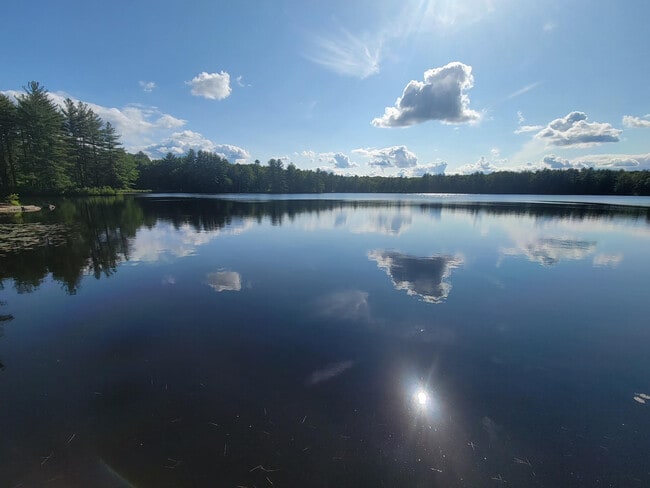 Nearby pond - 6 Trillium Way