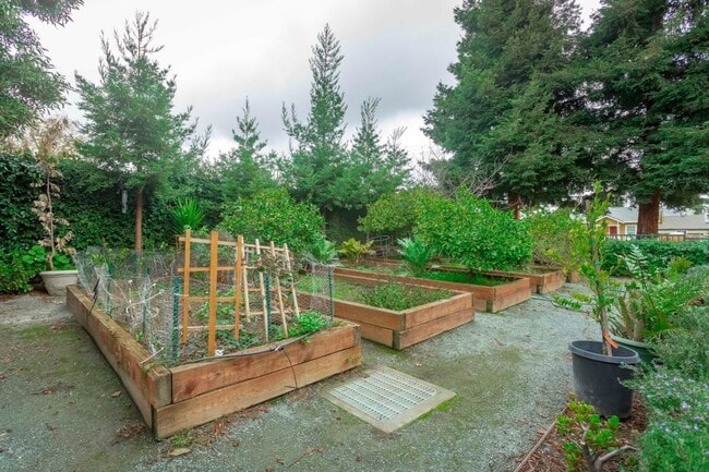 Building Photo - COMING SOON! | $3,700 / 3BR GORGEOUS CENTRAL FREMONT TOWNHOME IN PARKMONT | Photos shown are of a...