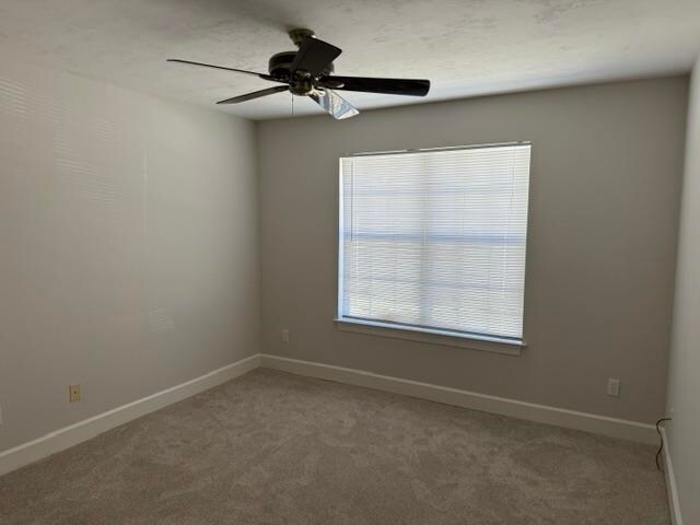 Building Photo - 202 Baxter Ct