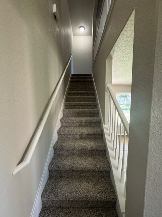 Building Photo - Must See Newly Updated 5/3.5 Home in Alamo...