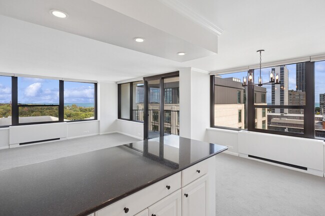 Building Photo - 1560 N Sandburg Terrace