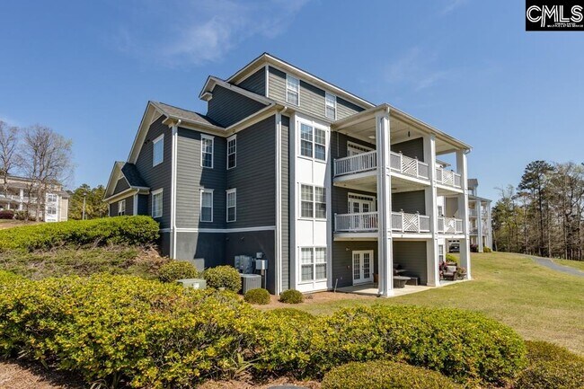 Building Photo - 163 Sandlapper Way