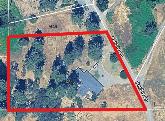 Building Photo - 6231 Pebble Ln
