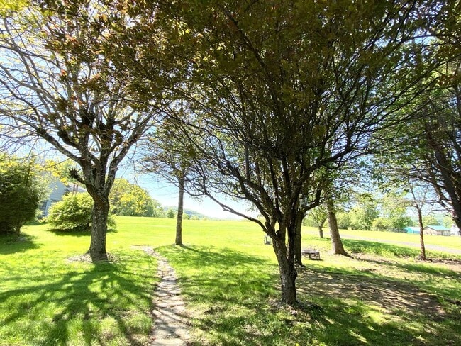 Building Photo - Bright & Breezy 3BR Ranch Ulster Park