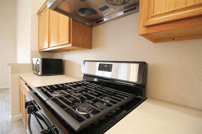 Building Photo - 2650 Sable Ridge Ln
