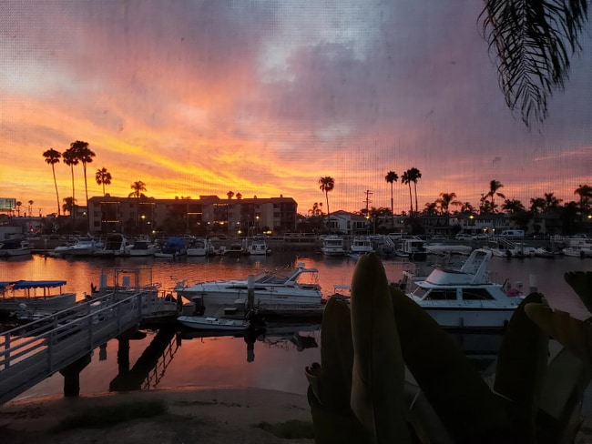 Building Photo - 514 Coronado Ave