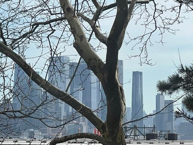 Building Photo - 7002 JFK Blvd E