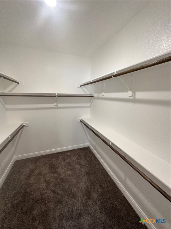 Building Photo - 1423 Curlew Ln