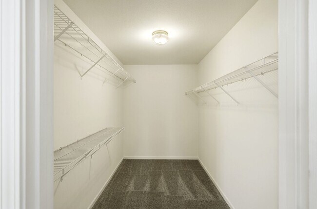 Building Photo - 1707-1709-1709 Juniper Dr