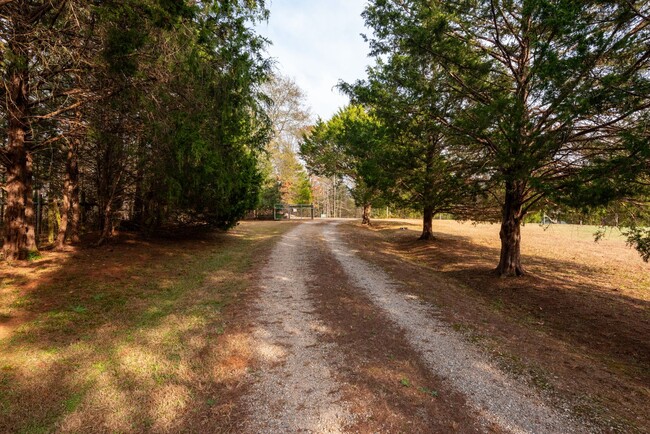 Building Photo - Oconee Country Living on 8+ Acres w/ Full ...