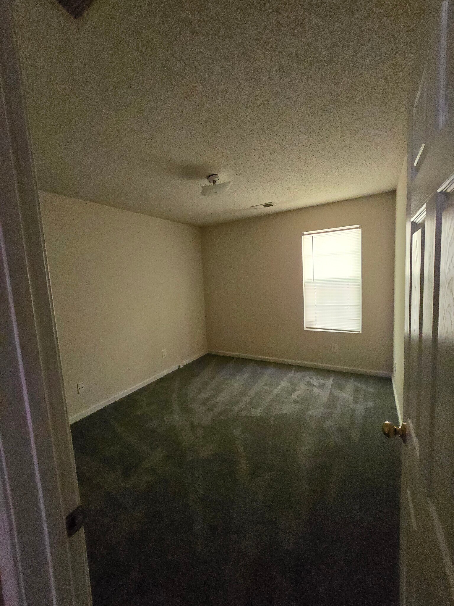 Building Photo - 154 Amelia Garden Way