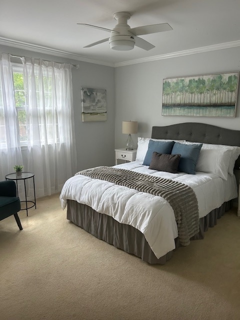 Guest bedroom - 116 Cambridge Place Dr