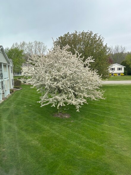 Building Photo - 1434 Watercress Cir