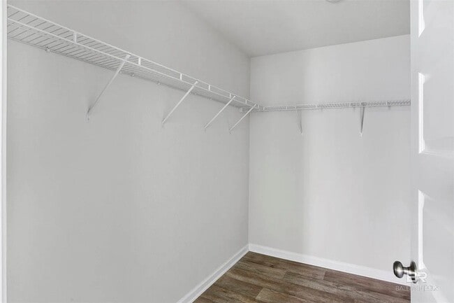 Building Photo - 23843 Unbridled Lp