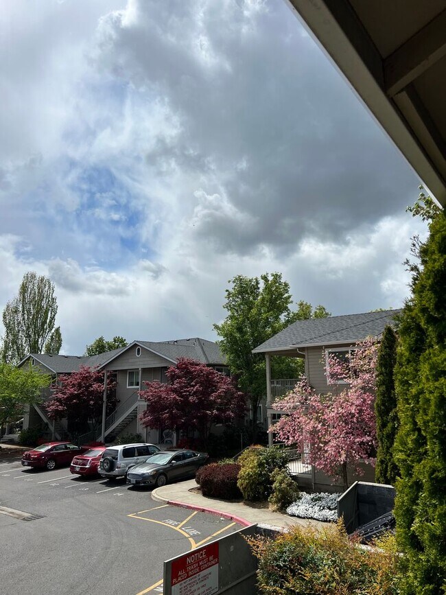 Building Photo - 3163 Juniper Ridge Dr