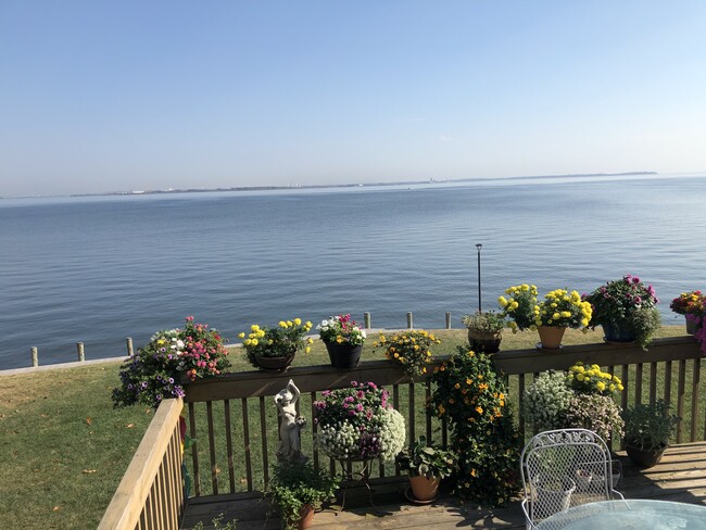 View from deck - 7941 River Rock Way