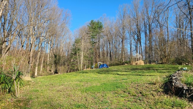 Building Photo - 11308 Popes Head Rd