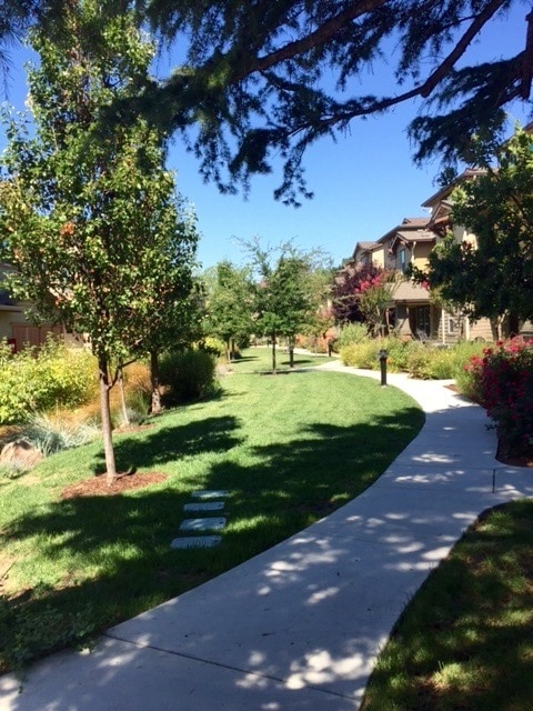 plenty of green space - 722 El Paseo Cir