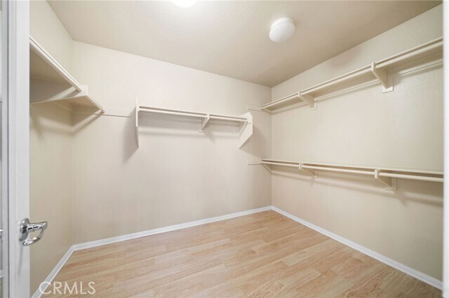 Building Photo - 3175 Sand Pine Tr
