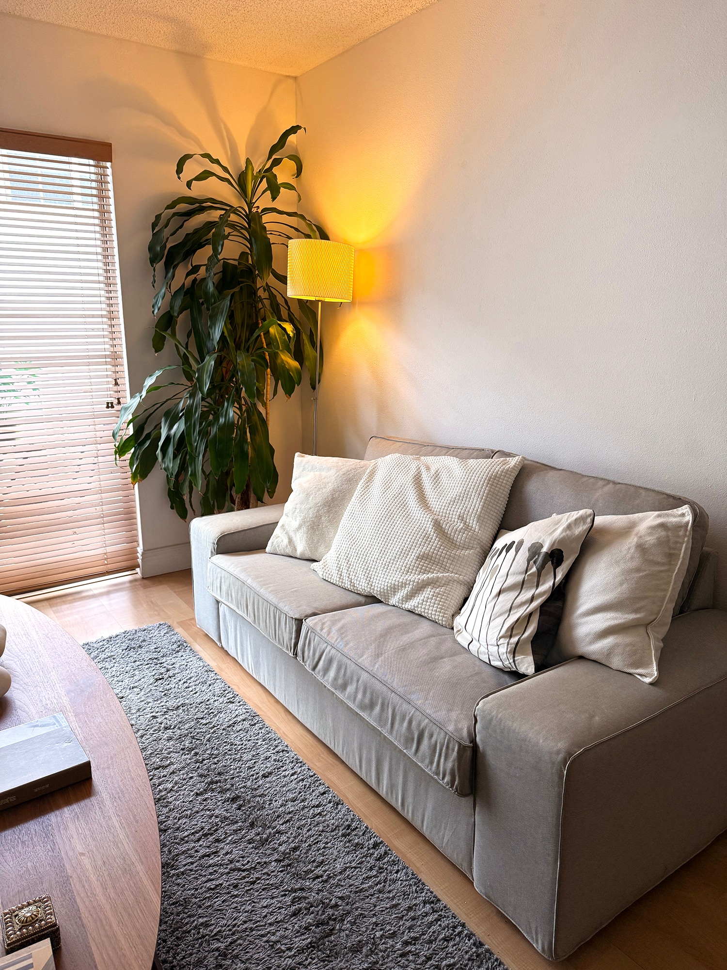 Living Room (new photo) - 1615 Meridian Ave