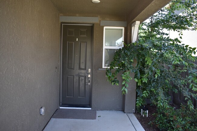 Building Photo - 389 Shafer Ave