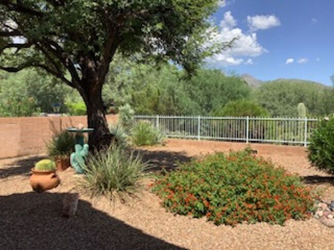 Building Photo - Sabino Canyon Furnished Vacation Home