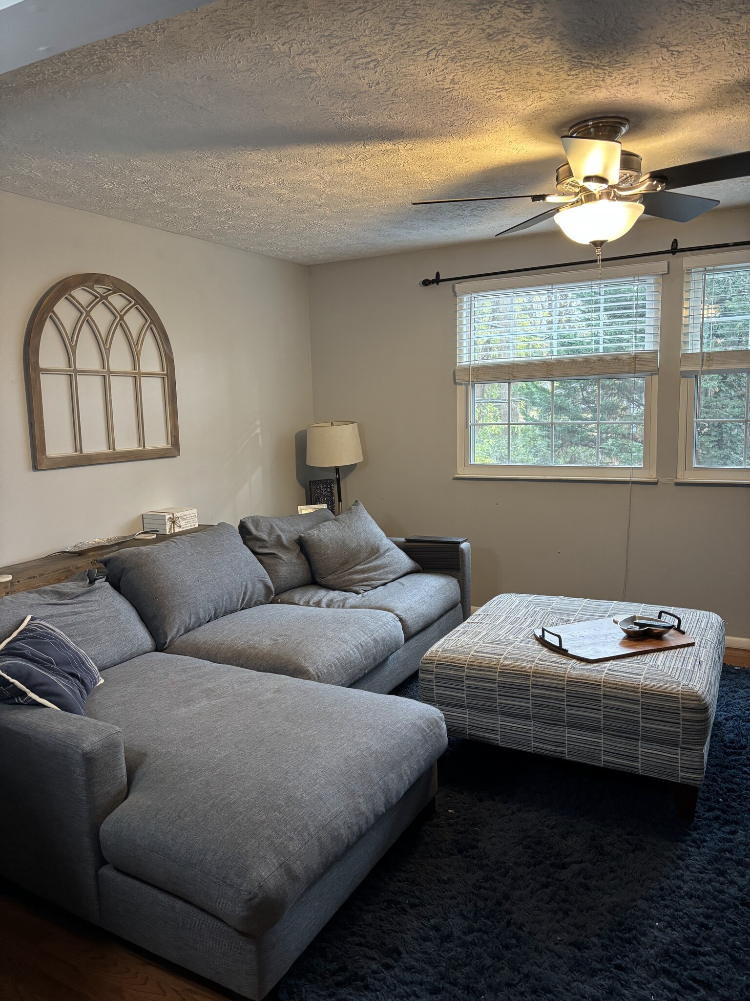 living room - 1227 Scaleybark Rd