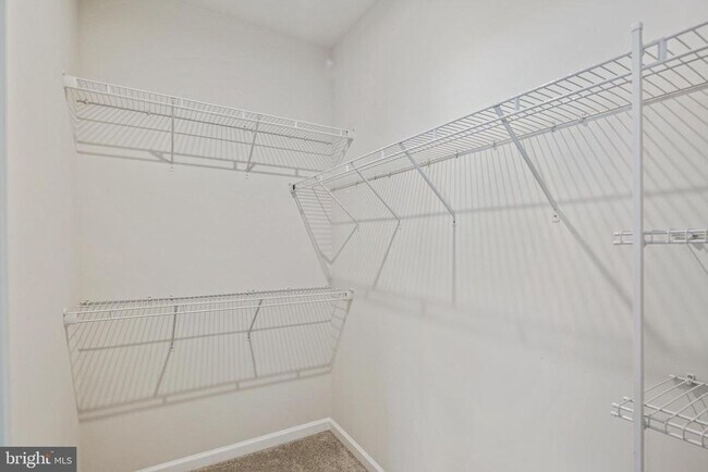 Building Photo - 10012 Sandy Run Rd