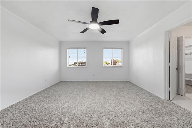 Building Photo - 1715 Southampton Dr