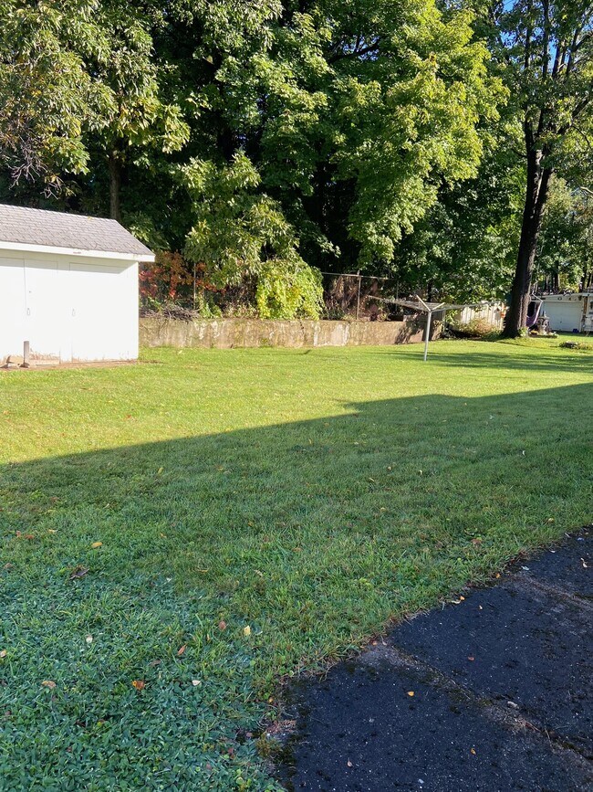 Back Yard - 11 Brierway Dr