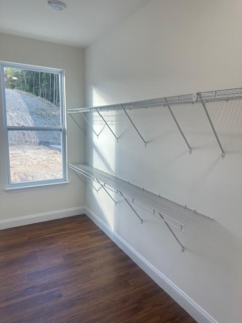 Building Photo - 1923 Cypress Ln