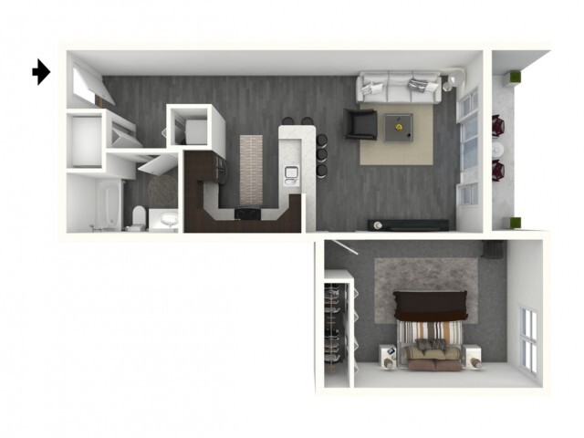 One Bedroom, One Bath - Large - 770 Elmwood Apartments