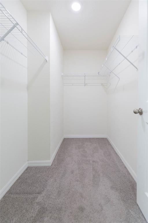 Building Photo - 5358 Woodridge Ln