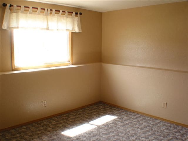 Building Photo - 4 BED | 2 BATH | SINGLE GARAGE | RAPID VALLEY
