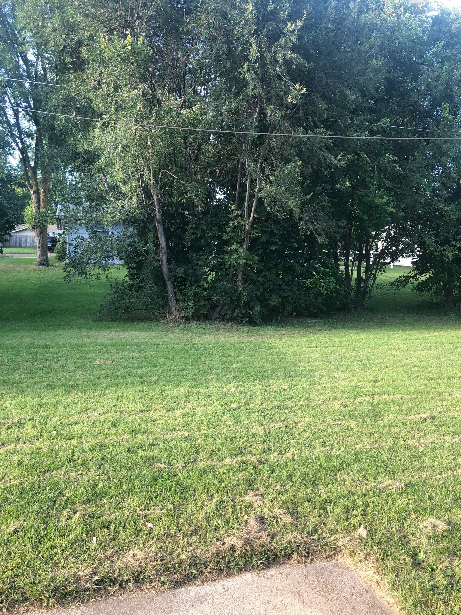 Back yard - 1510 Dot Street