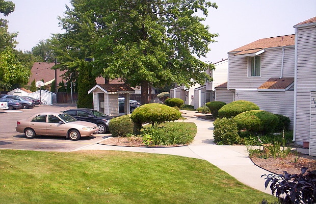 Primary Photo - Treehouse Apartments