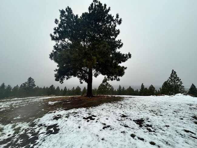 Building Photo - Cozy 1-Bed Cabin on 30 Private Acres – Incredible Views & Outdoor Access