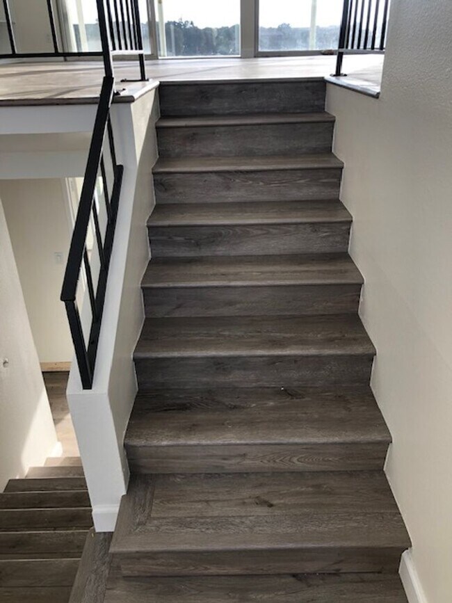 Building Photo - Domingo