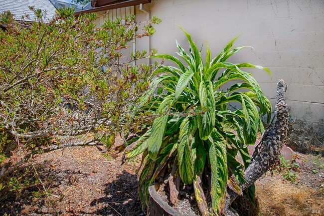 Building Photo - 20 Eucalyptus Rd