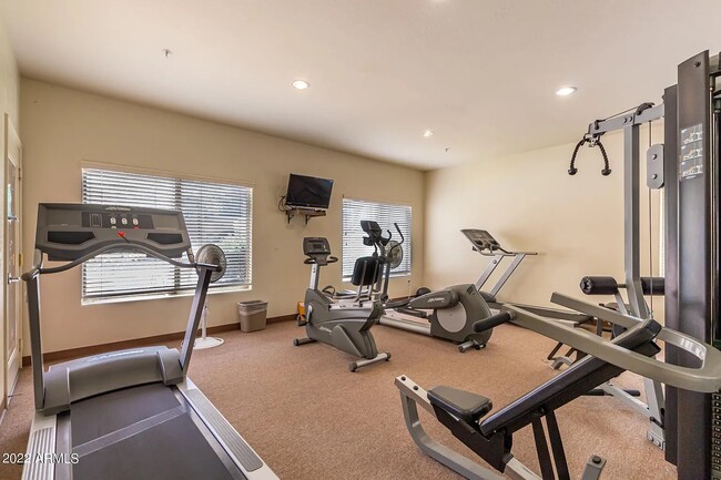 Gym - 33550 N Dove Lakes Dr