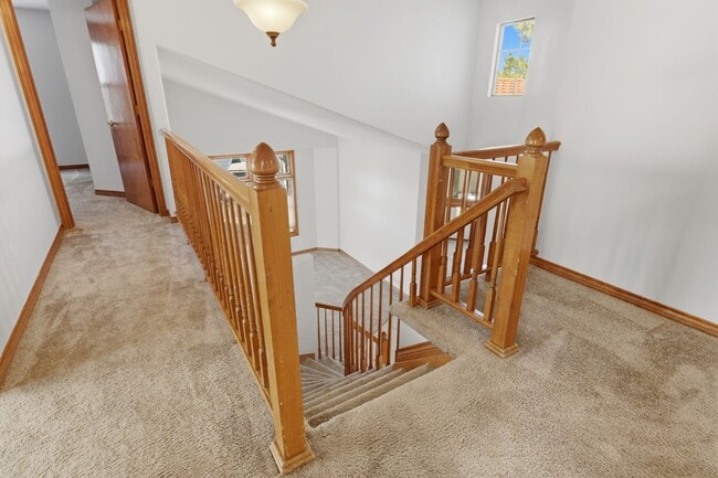 Building Photo - 4 Bed 2.5 Bath Home in Plum Creek of Castle Rock